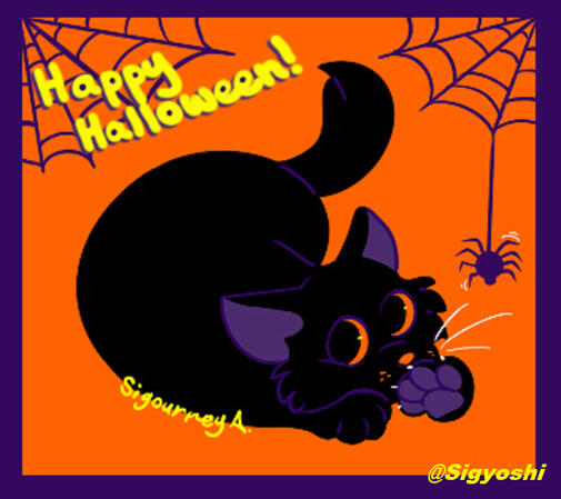 Halloween Black Cat